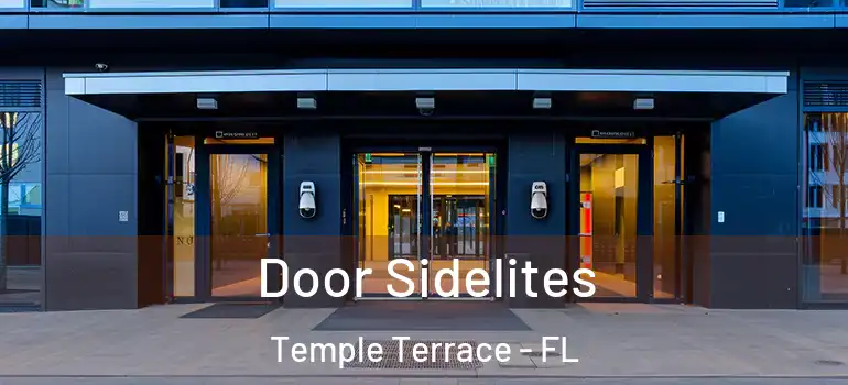  Door Sidelites Temple Terrace - FL