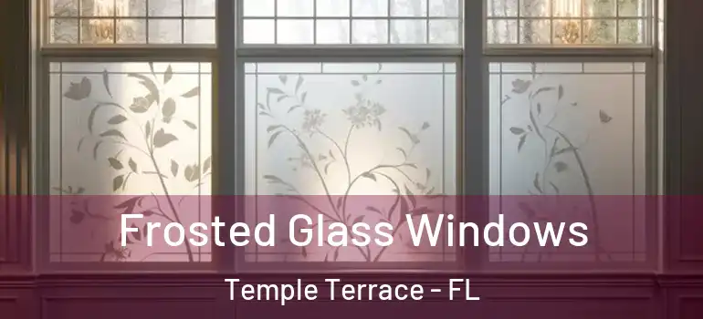  Frosted Glass Windows Temple Terrace - FL