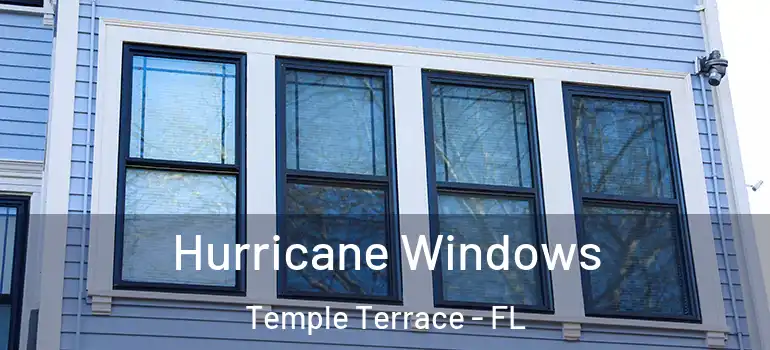  Hurricane Windows Temple Terrace - FL