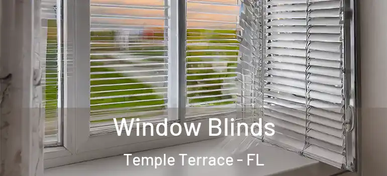  Window Blinds Temple Terrace - FL